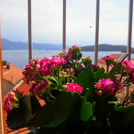 Apartament Jacobus Korčula