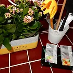 Apartamento Jacobus